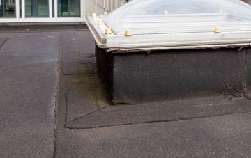 disadvantages of Blackhall Mill flat roofs